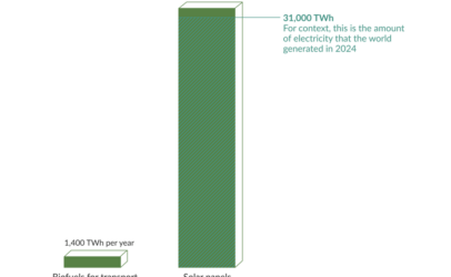 A comparison of the fuel output of biofuel cropland versus solar panels
